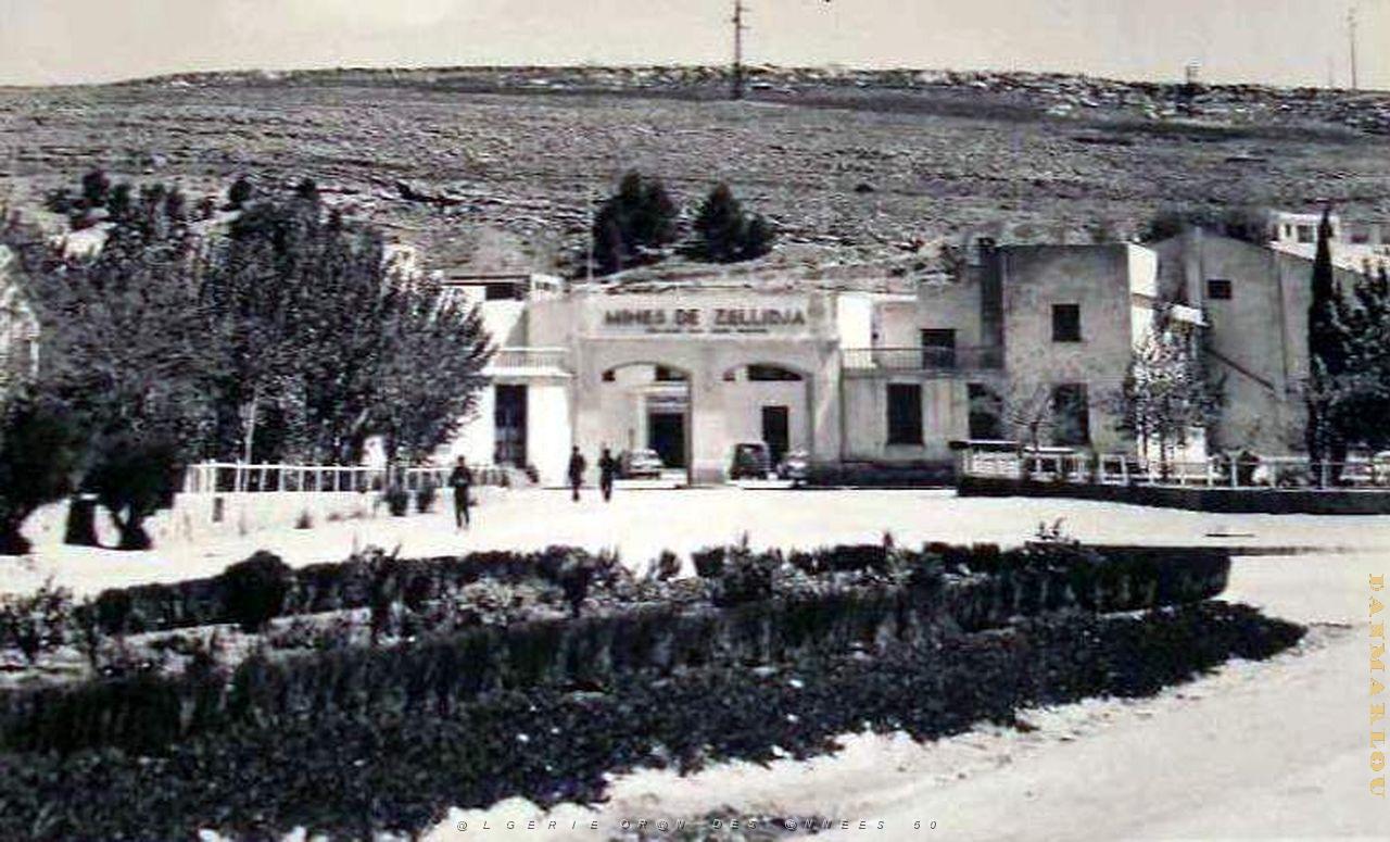 Zellidja- Bou Beker 01- annees 50.jpg